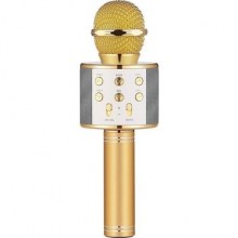 Wster WS-858 Kablosuz Gold Karaoke Mikrofon (BLUETOOTH*SD*AUX*FM )