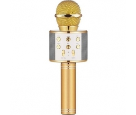 Wster WS-858 Kablosuz Gold Karaoke Mikrofon (BLUETOOTH*SD*AUX*FM )